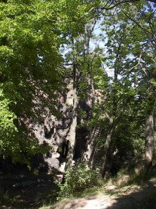 2001.07.28 15.28.14.jpg